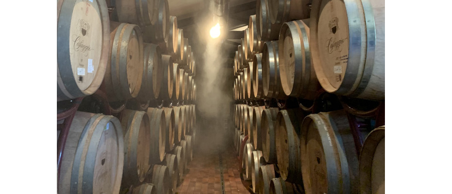I sistemi di umidificazione per le cantine vinicole – I vantaggi